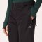 Snow WMN Insulated Pant