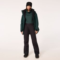 Snow W Insulated Pant Black