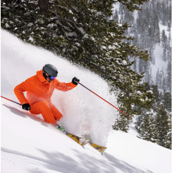 Formula Pants Orange