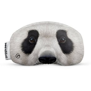 Gogglesoc Panda