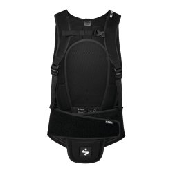 Back Protector